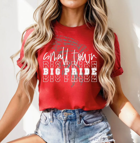 Bella+ Canvas Small Town Big Pride T Shirt