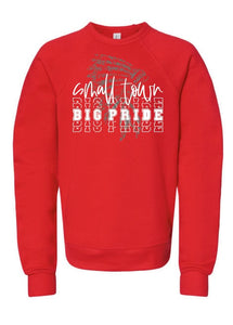 Bella + Canvas Small Town Big Pride